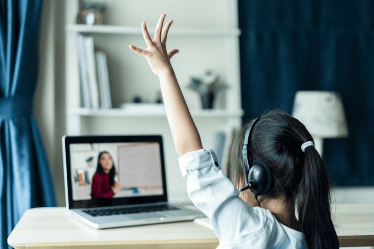 The Complete Web Design Course